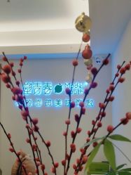 -塑青春&伊肤泉祛痘皮肤管理