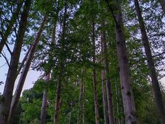 -上海市保健医疗中心