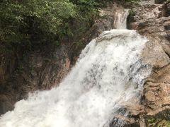 -九龙江国家森林公园