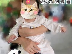 -都江堰中华大熊猫苑