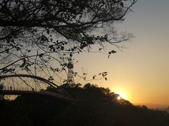 -金鸡山公园