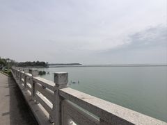 -贡湖湾湿地公园