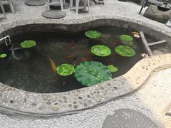 -映像威海·海鲜味道(市区店)