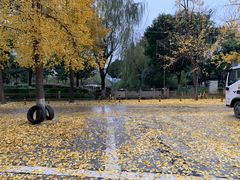 -沙河三洞古桥公园