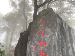 -梧桐山风景名胜区