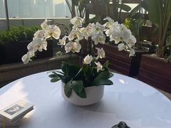 -富力丽思卡尔顿酒店·FLAIR餐厅酒吧