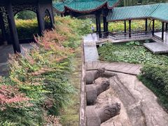 -桂湖森林公园