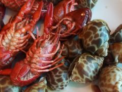 -龙之梦万丽酒店青餐厅