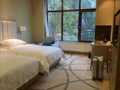 -圣爵菲斯大酒店(长沙世界之窗店)