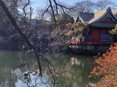 -井之头恩赐公园