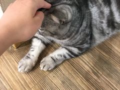 -南枝小馆(银鱼巷店)