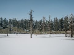 -瓦屋山景区