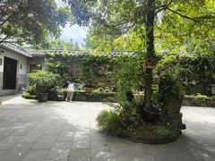 -青城甲(青城山店)