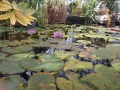 -国家植物园南园