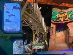 -珠海横琴国家地理探险家中心(创新方)