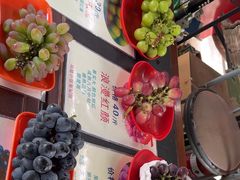 -马陆小张葡萄园农家乐