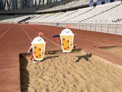 -深圳市宝安体育中心体育场