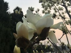 -首都师范大学(良乡校区)