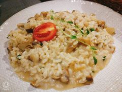 黑松露鲜蘑烩饭-IL Forno 意坊·意大利餐厅(温州万象城店)