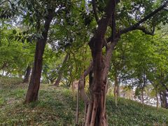 -广州雕塑公园
