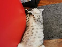 -H立方实景剧情密室(天河旗舰店)