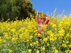 -浦星公路-路侧停车位