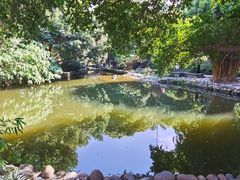 -成都市活水公园