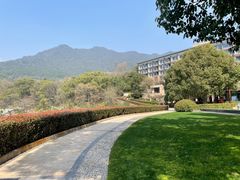 -逸廊大堂吧-下午茶·简餐-千岛湖自由洲际殿