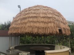 -中家鑫园温泉酒店鑫悦汤泉