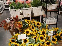 -宜家家居(哈尔滨商场店)