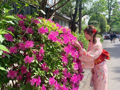 -东京浅草和服体验江户和装工房雅(浅草本店)