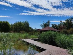 -永定河休闲森林公园