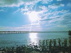 -宝安西湾红树林湿地公园