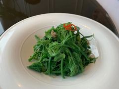 丝瓜尖-粤界(望京金辉店)