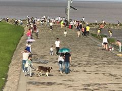 -南汇嘴观海公园