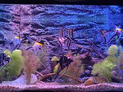 -上海海洋水族馆