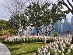 -北外滩滨江绿地