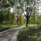 没有围墙的公园