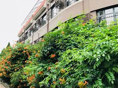 教学楼-岳阳道小学(大理道校区)