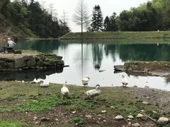 -四明山国家森林公园