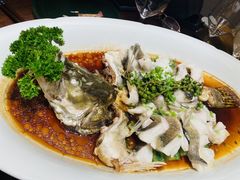-觅唐MITONG(鸟巢店)