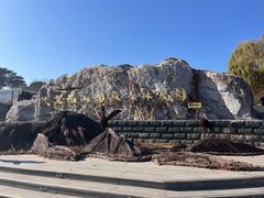 -北京西山国家森林公园