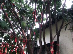 -乌镇西栅景区-月老庙