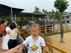 -西霞口神雕山野生动物世界