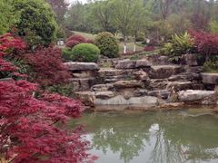 -铁山坪森林公园