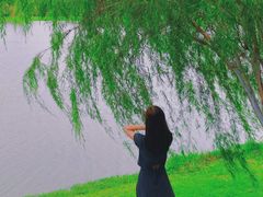 -东莞植物园