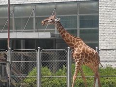 -石家庄市动物园