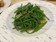 甘树子炒龙须菜-锦粤宫·精致粤菜(深圳北站店)
