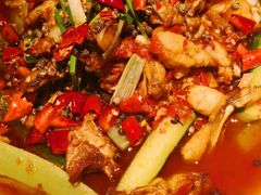 金牌泉水蛙-绿茶餐厅(布吉万象汇店)