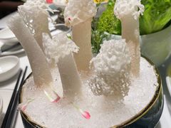 -领鲜天下·焗海鲜·花胶鸡(天目里店)